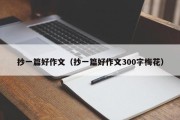 抄一篇好作文（抄一篇好作文300字梅花）