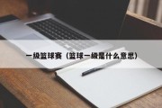 一级篮球赛（篮球一级是什么意思）