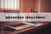 獭兔种兔养殖技术（獭兔怎么养殖技术）