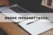 宝宝发高烧（宝宝发高烧退不下来怎么办）